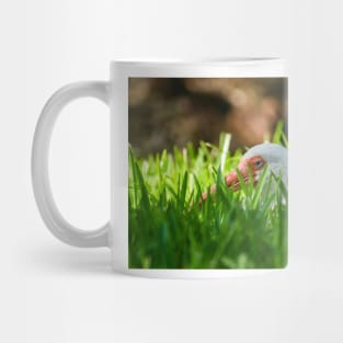 American white ibis 4 Mug